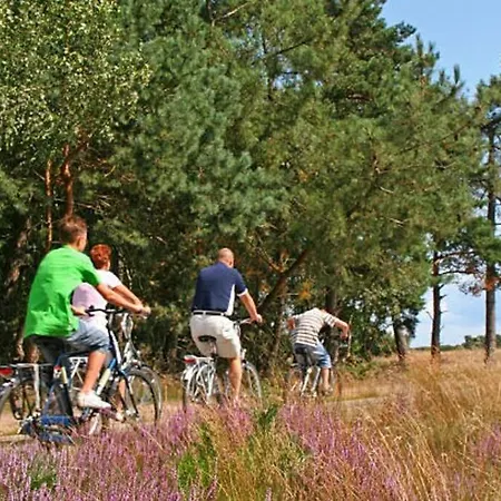Casa vacanze En Bordure De Foret . *