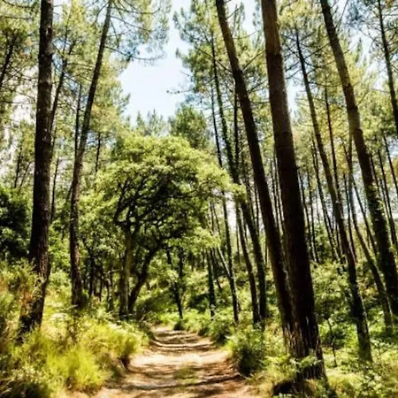 Holiday home En Bordure De Foret .